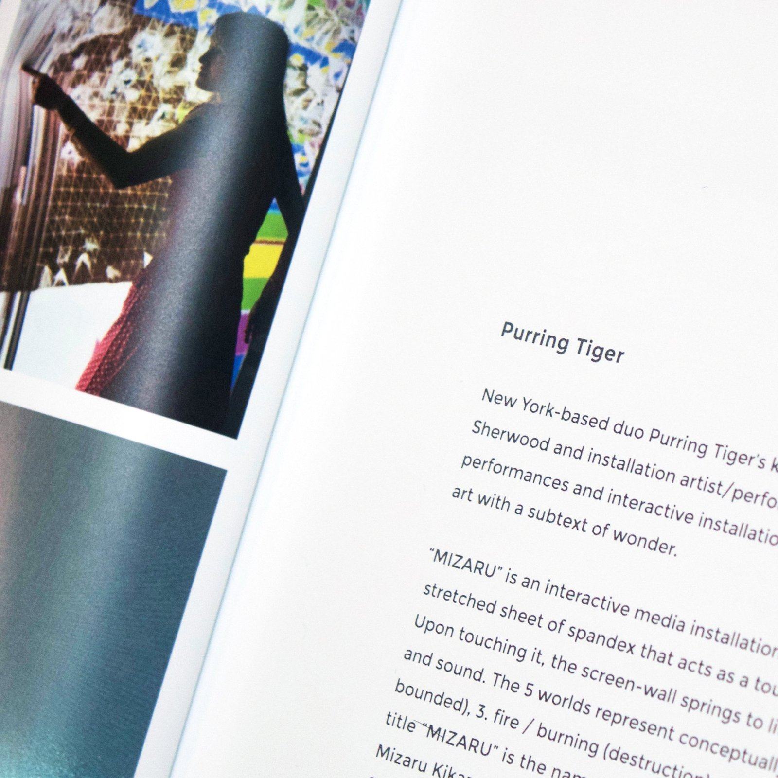 New Gifts book: Purring Tiger